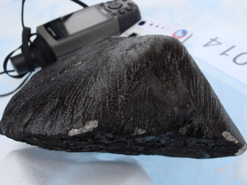 KOREAMET (Korea Curation of Antarctic Meteorites)